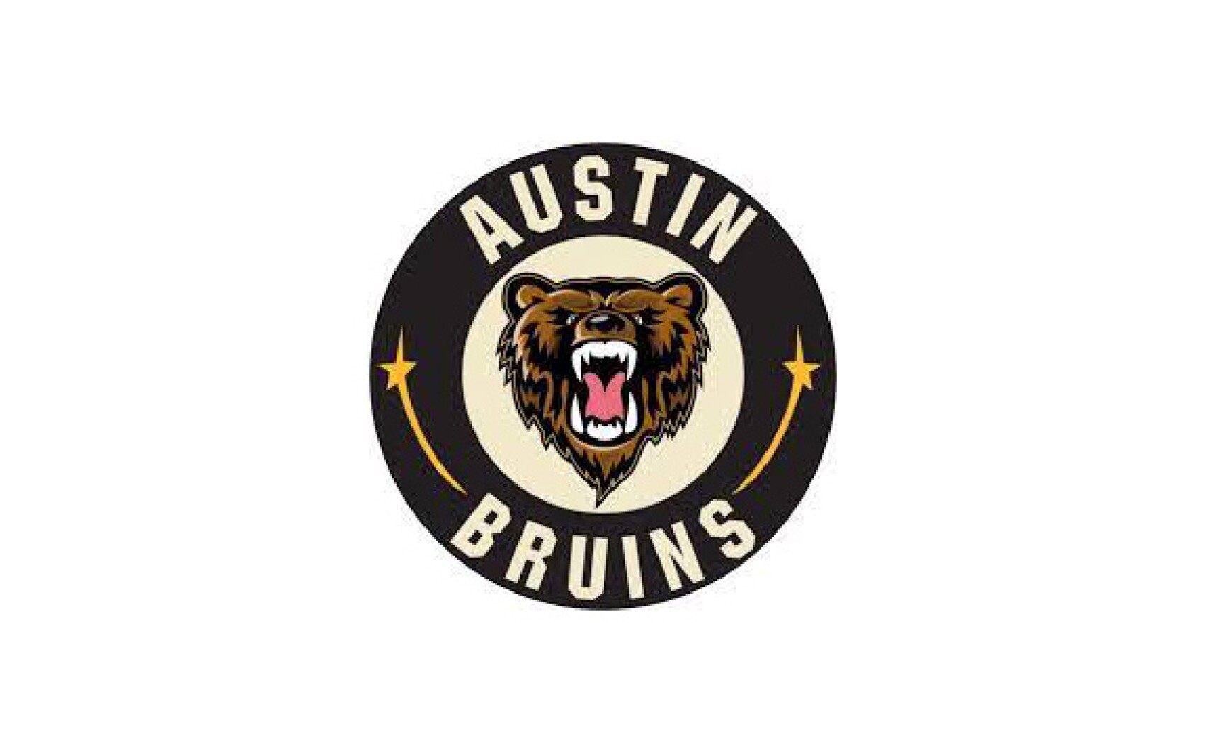 Austin Bruins lose twogoal lead, game in NAHL playoffs opener against